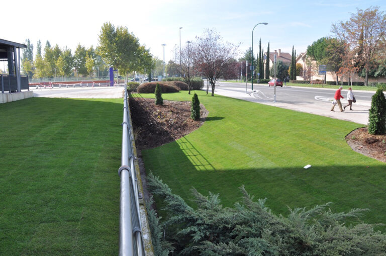 Plantación de tepes