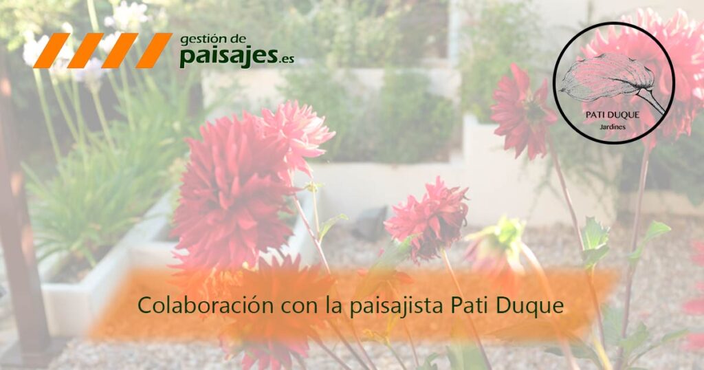 Colaboración con la paisajista Pati Duque