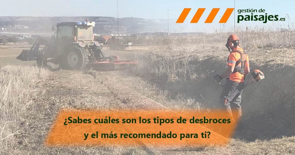 ¿Sabes cuáles son los tipos de desbroces y cuáles son los más recomendados para tí?